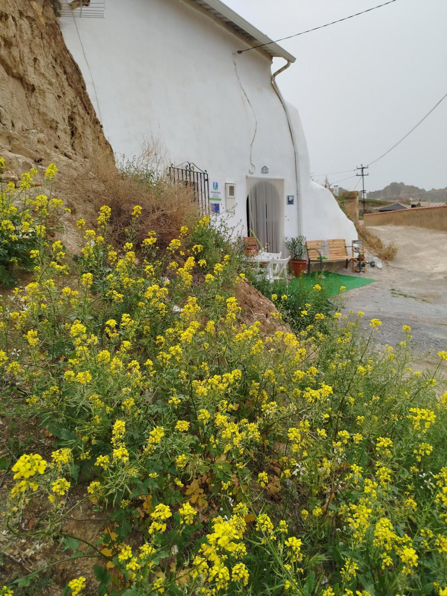 Cueva La Loli Villa Guadix Exterior photo